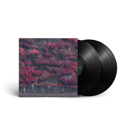 Even In Arcadia (2LP) [Vinyl] Vinyl Record