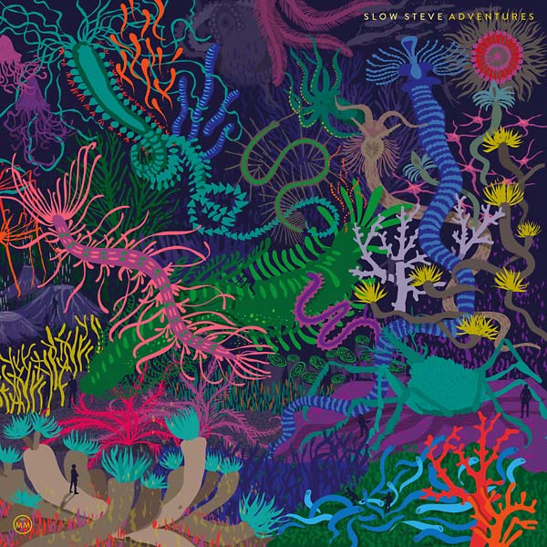 SLOW STEVE - Adventures Vinyl Record
