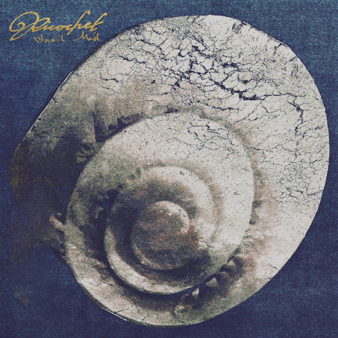 Ricochet Vinyl Record
