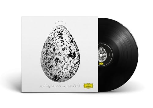 The Importance Of Birds [12" Ep] [Vinyl] Vinyl Record