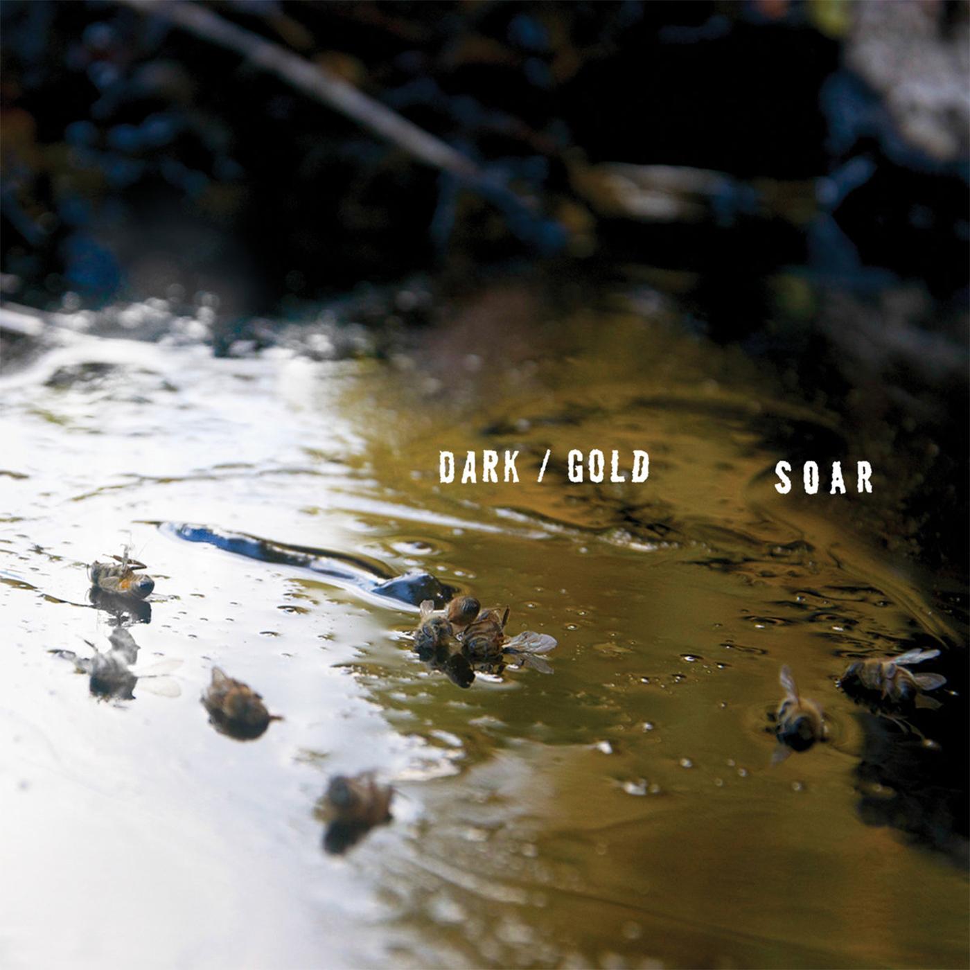 SOAR - dark / gold Vinyl Record
