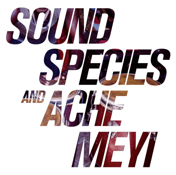 Soundspecies And Ache Meyi Vinyl Record