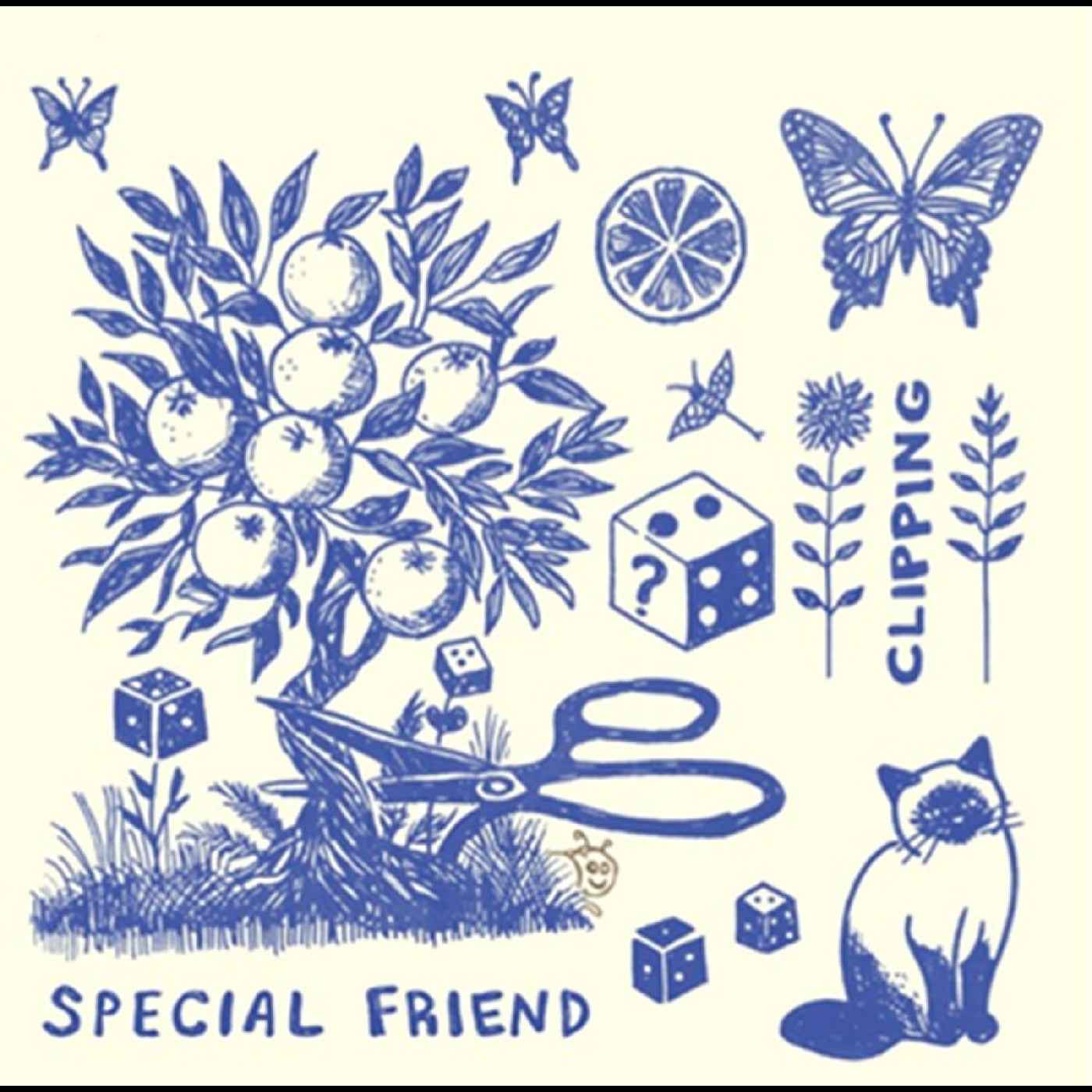 Special Friend - Clipping [Vinyl] Vinyl Record