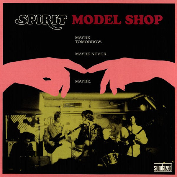 Model Shop Vinyl Record