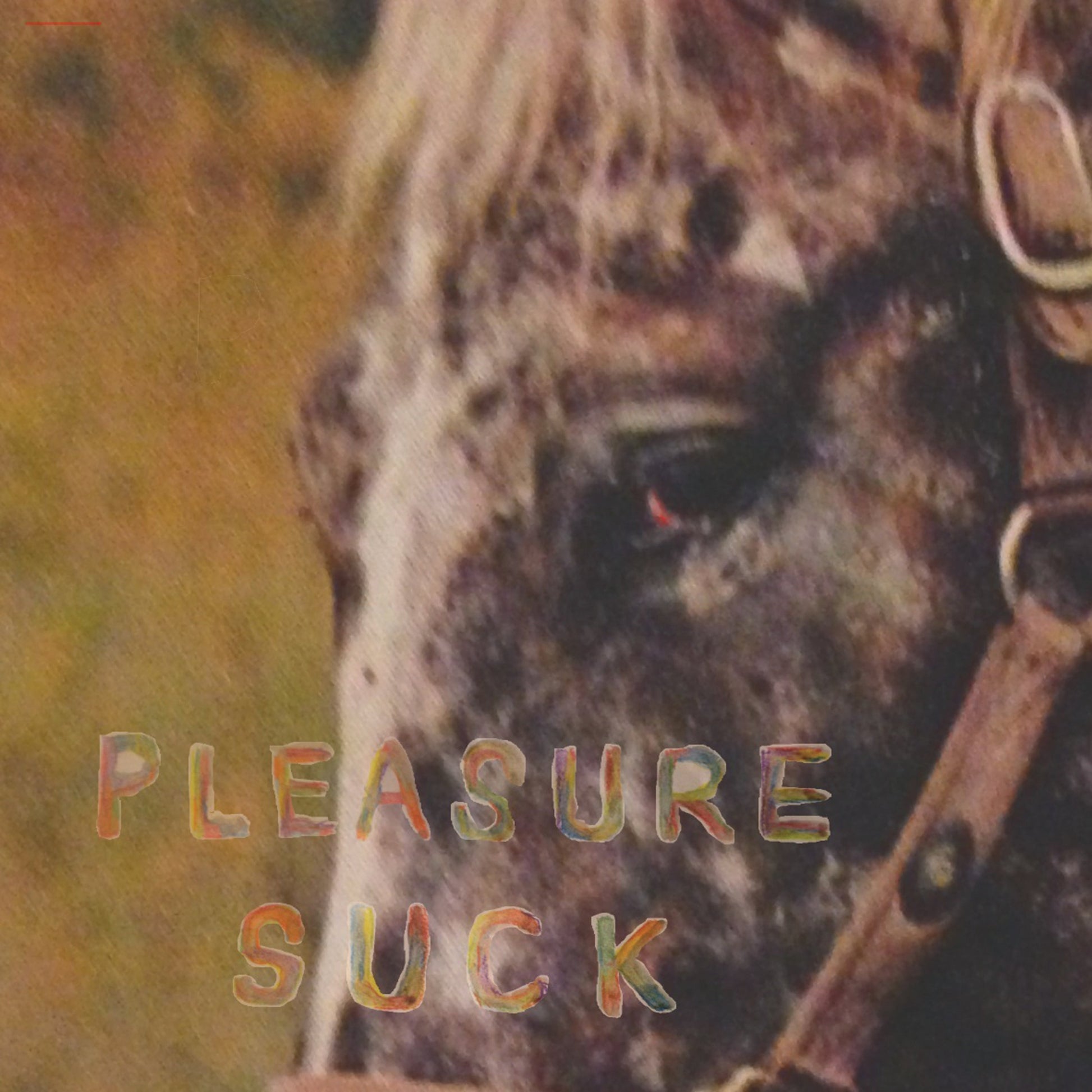 Pleasure Suck [CD] Music CD