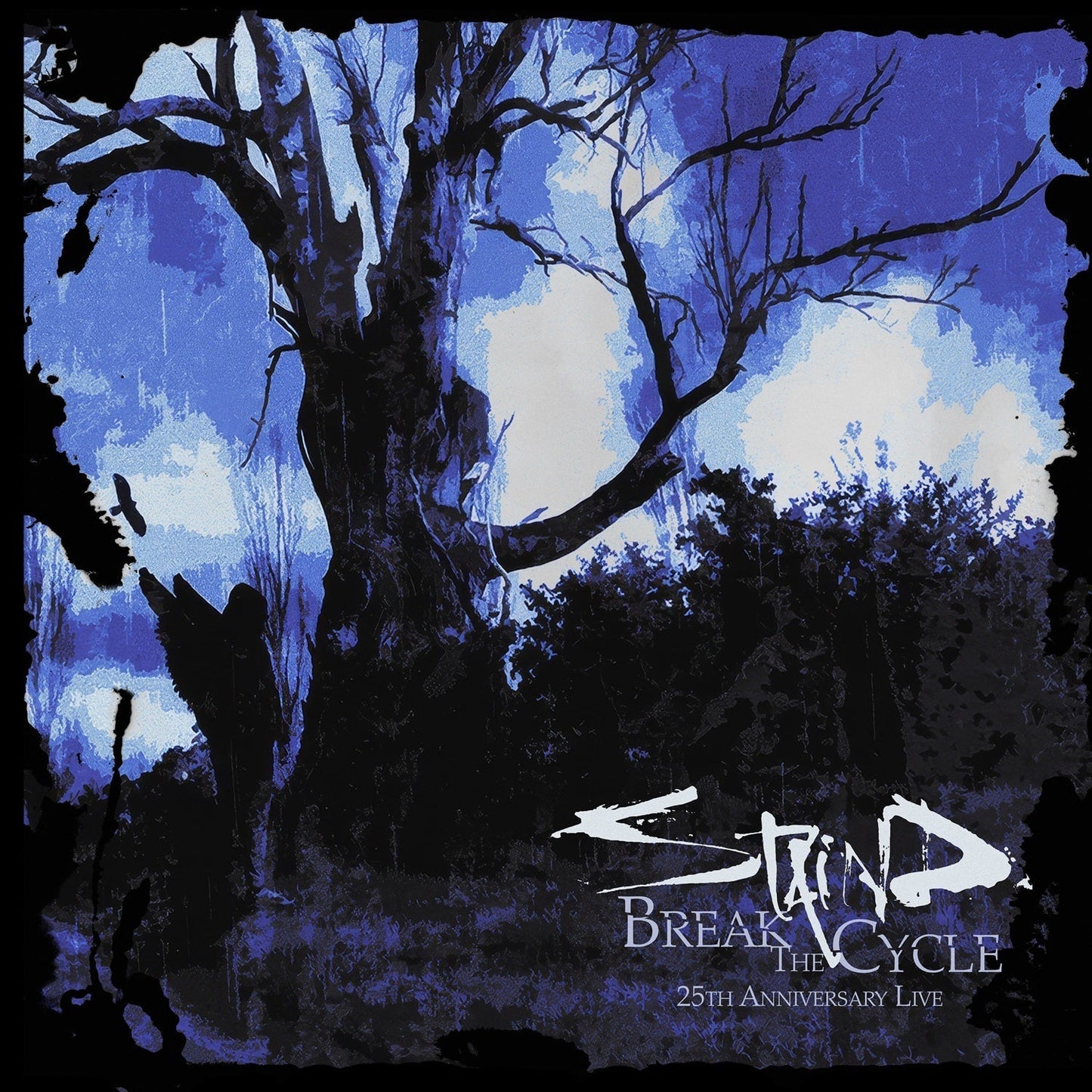 Staind - Break The Cycle (25Th Anniversary Live) [CD] Music CD