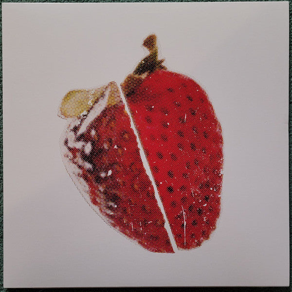 Surely Travel Vinyl Record