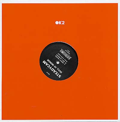 STEADYCAM - Dull In Minor Vinyl Record