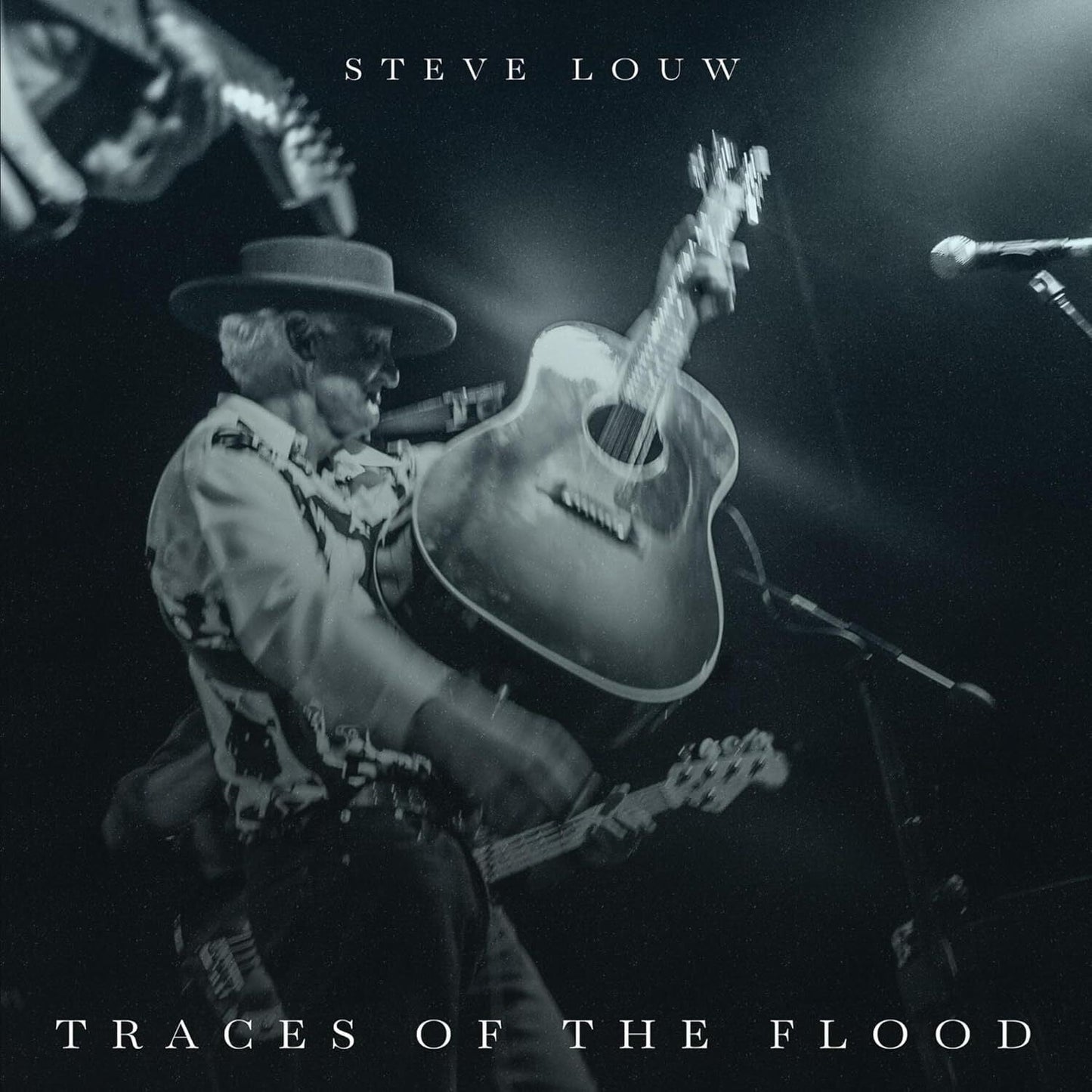 Steve Louw - Traces Of The Flood [CD] Music CD