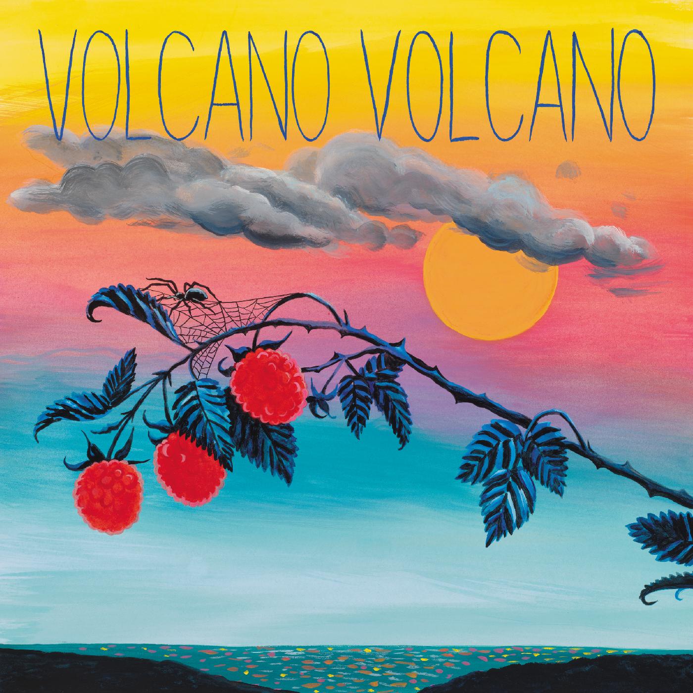 Volcano Volcano Vinyl Record