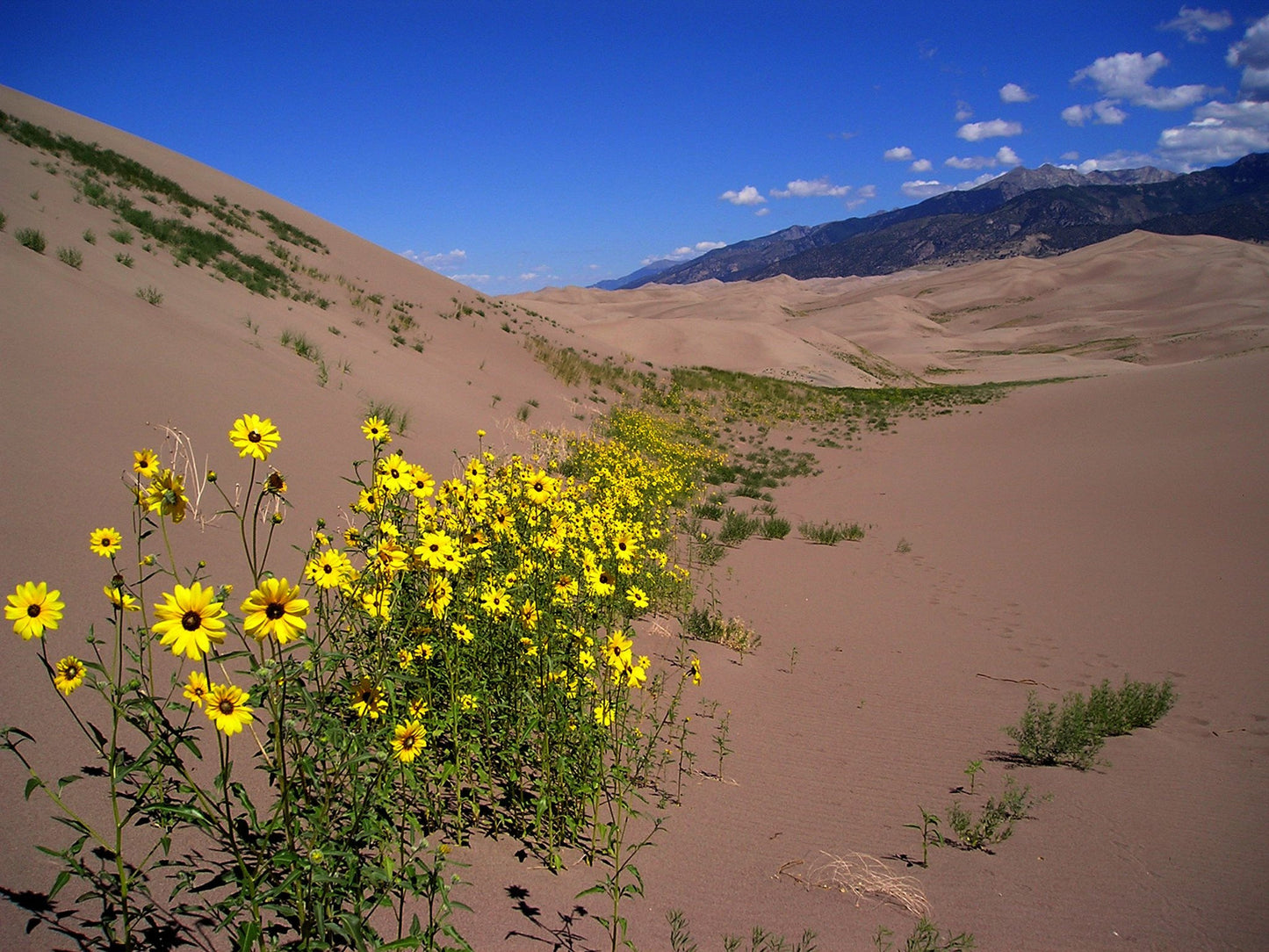 Capture My Colorado: Vail Book