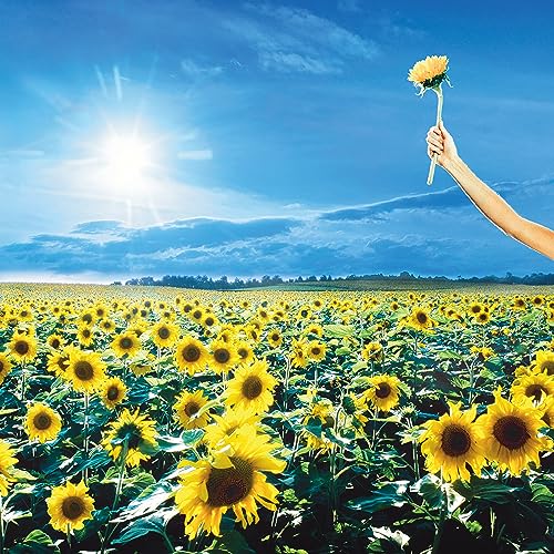 Stone Temple Pilots Thank You Vinyl Record