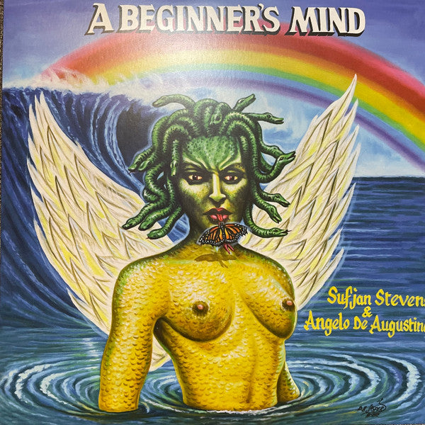 A Beginner's Mind Vinyl Record