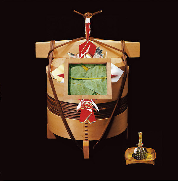 Tele-n-Tech-Da Vinyl Record