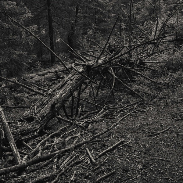 Always I Gnaw Vinyl Record