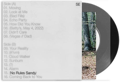 No Rules Sandy [Vinyl]