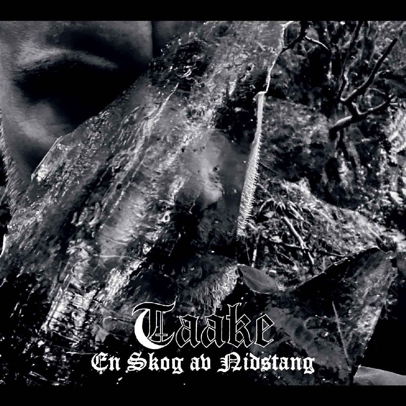 Taake - En Skog Av Nidstang [Vinyl] Vinyl Record