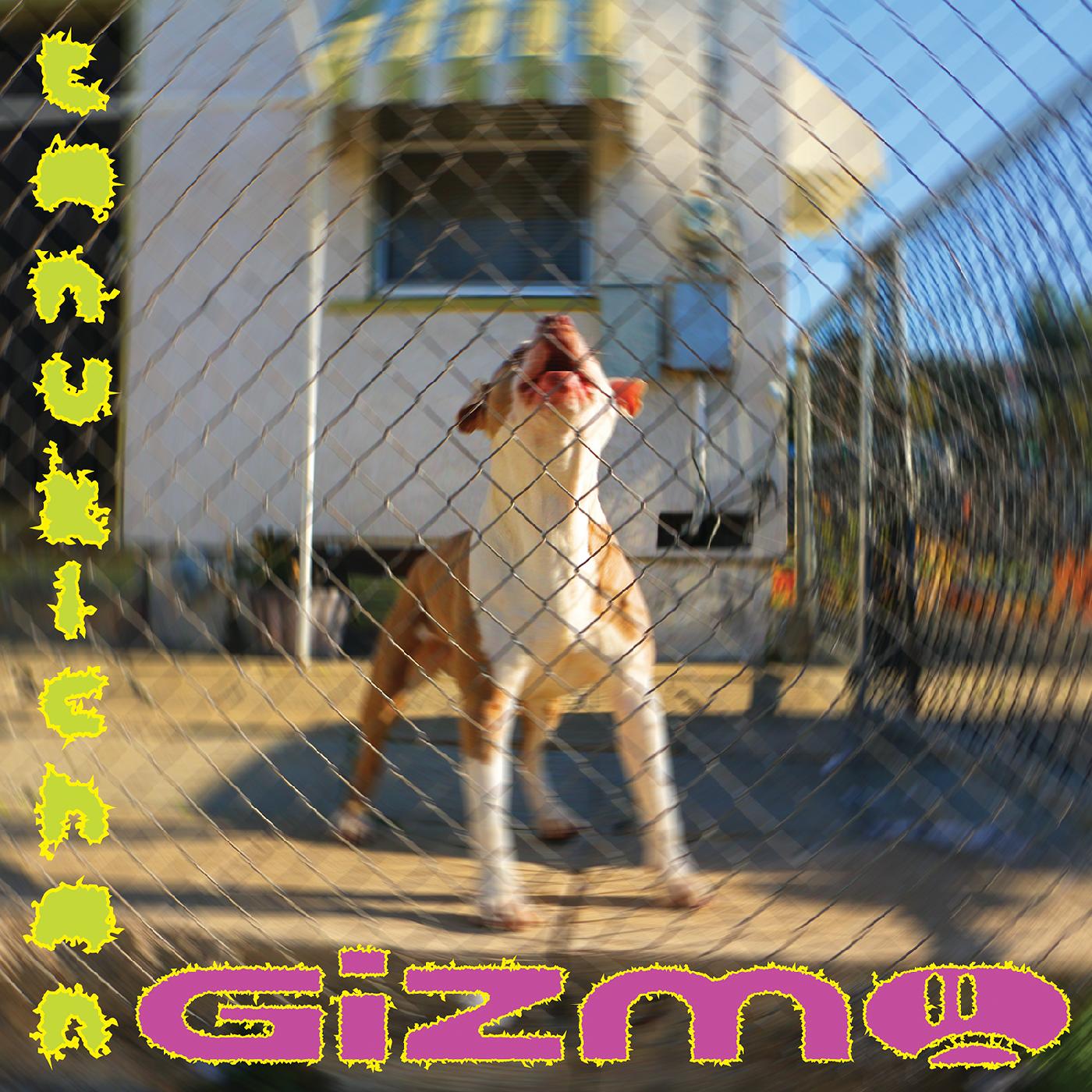 GIZMO Vinyl Record