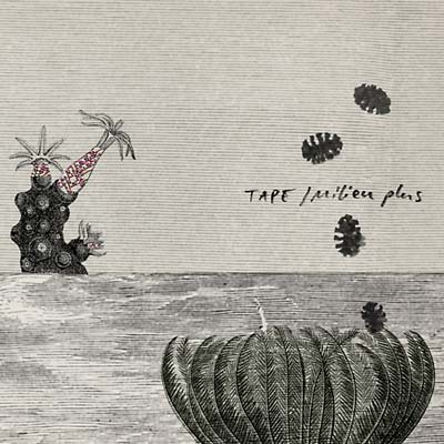 Milieu Plus  Music CD