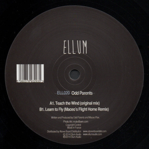 Teach The Wind  Generic Vinyl Record