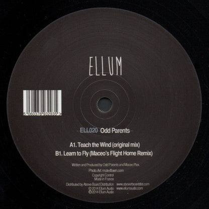 Teach The Wind  Generic Vinyl Record