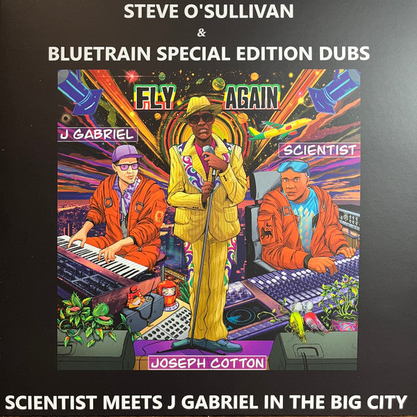 Fly Again Dub Remixes  Vinyl Record