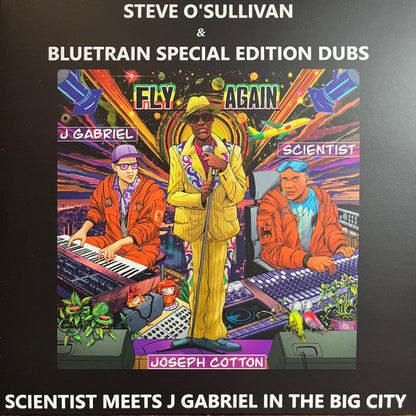 Fly Again Dub Remixes  Vinyl Record