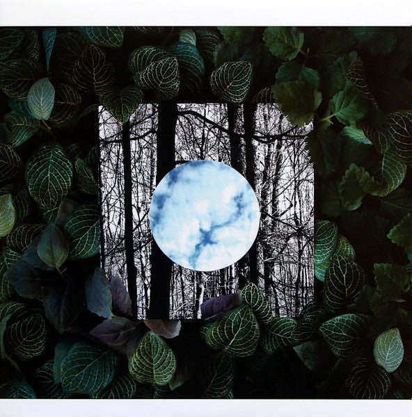 Gradual Blending (CLEAR VINYL) Vinyl Record