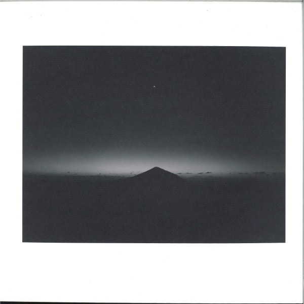 The Stranger  Vinyl Record