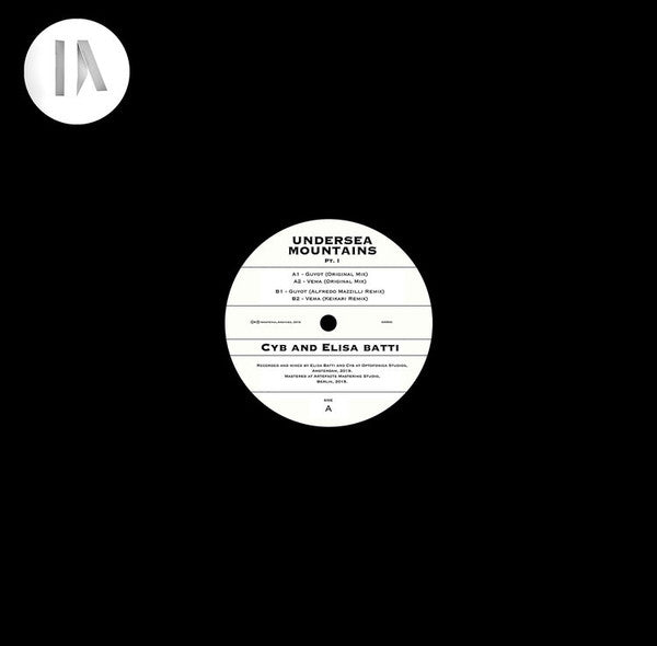 Undersea Mountains Pt.1  Generic Vinyl Record