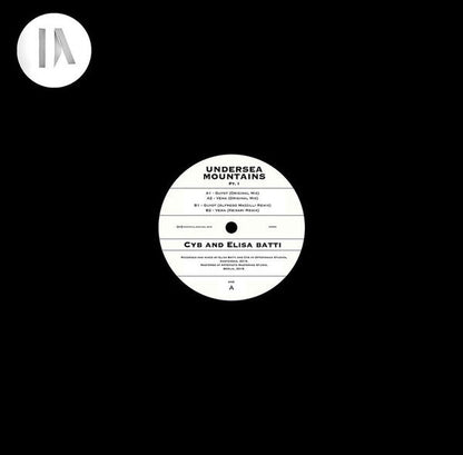 Undersea Mountains Pt.1  Generic Vinyl Record