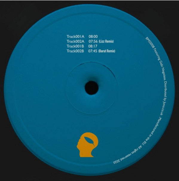 Botanic Minds Sunset Series Vinyl Record