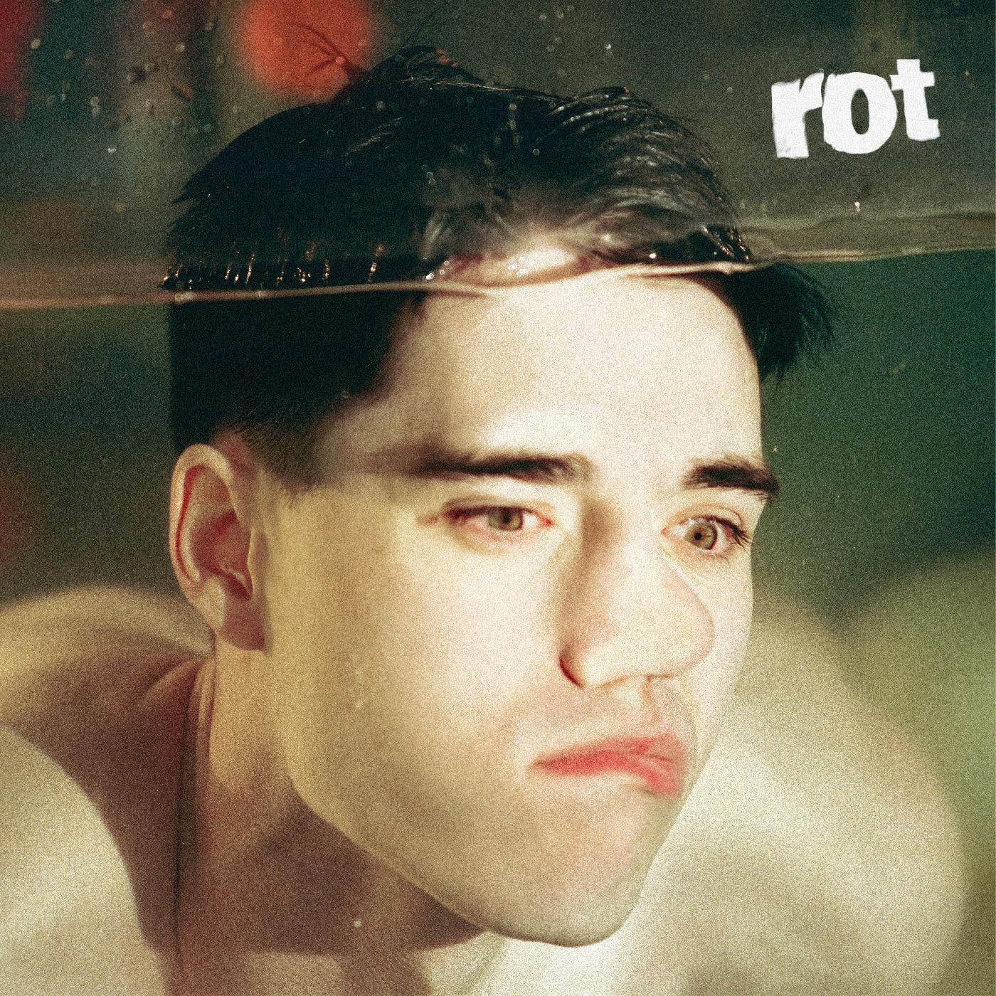 Rot Vinyl Record