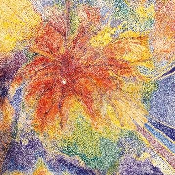 Pomegranate (Indie Exclusive, Clear Blue Colored Vinyl, 140 Gram Vinyl, Limited Edition) Vinyl Record