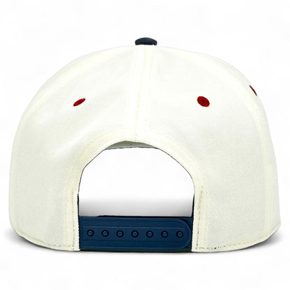 Texas Snapback Hat - The Lone Star