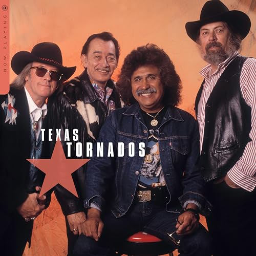 Now Playing [Vinyl] Vinyl Record