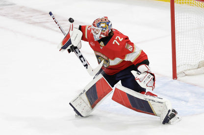 Redemption: Florida Panthers Finally Break Through to Win Their First Stanley Cup Book