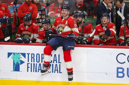 Redemption: Florida Panthers Finally Break Through to Win Their First Stanley Cup Book