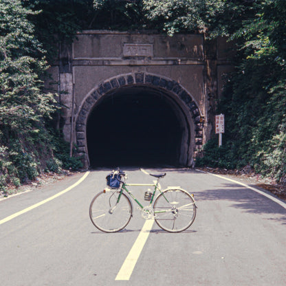 When We Were Friends (Record Stop Exclusive | Translucent Pink Vinyl) [Vinyl] Vinyl Record