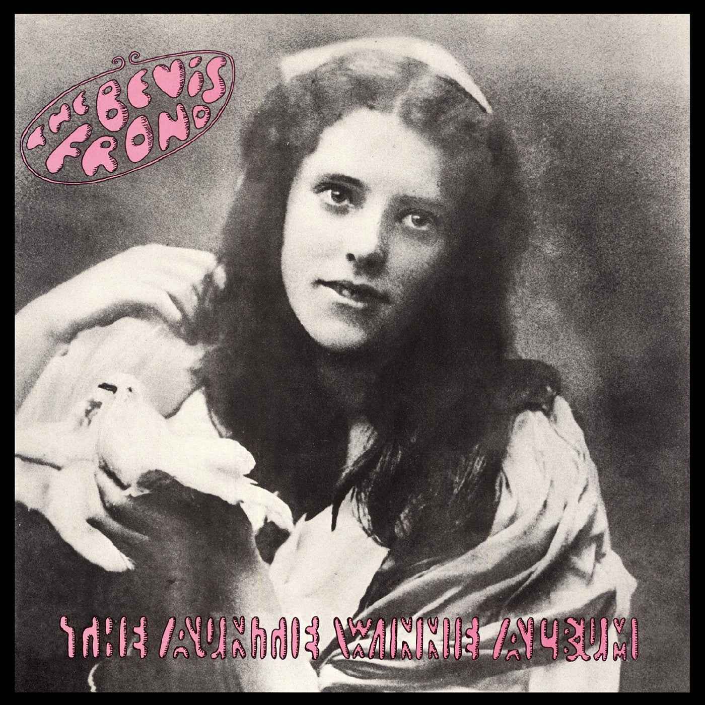 The Bevis Frond - The Auntie Winnie Album [CD] Music CD