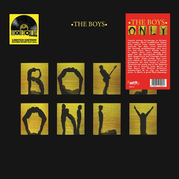 THE BOYS - Boys Only Vinyl Record