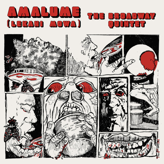 Amalume Vinyl Record