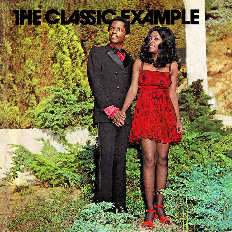 The Classic Example Vinyl Record