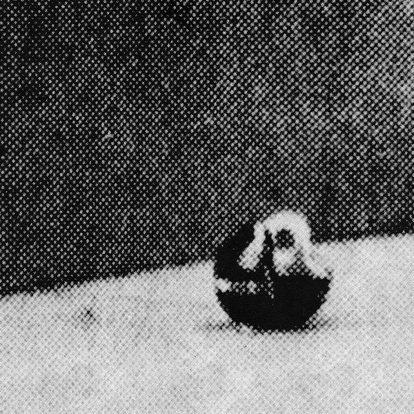 Midwestless Vinyl Record