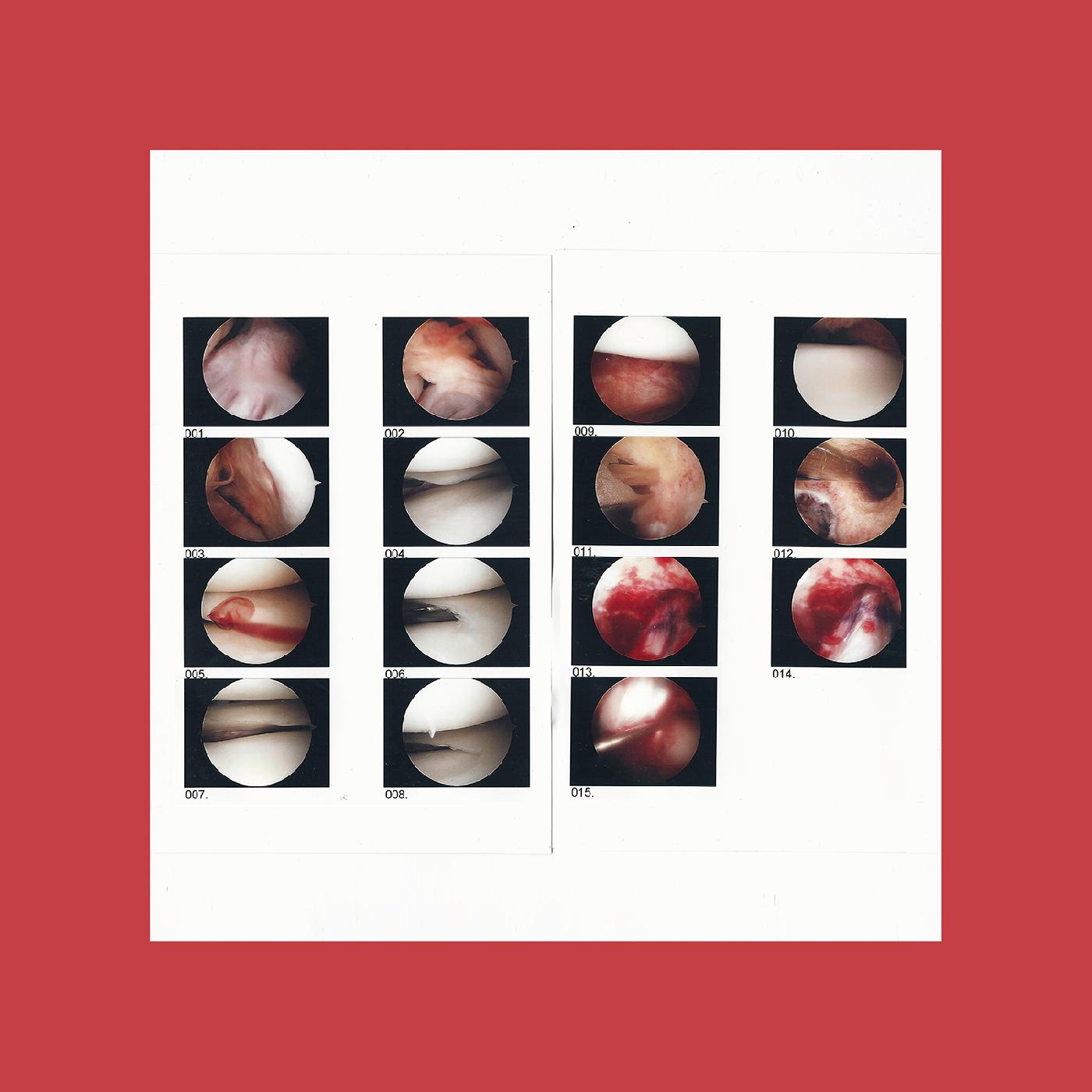 The Cradle - Laughing In My Sleep Vinyl Record