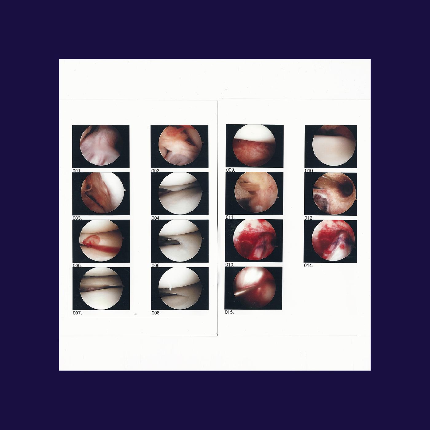 Laughing In My Sleep Music CD