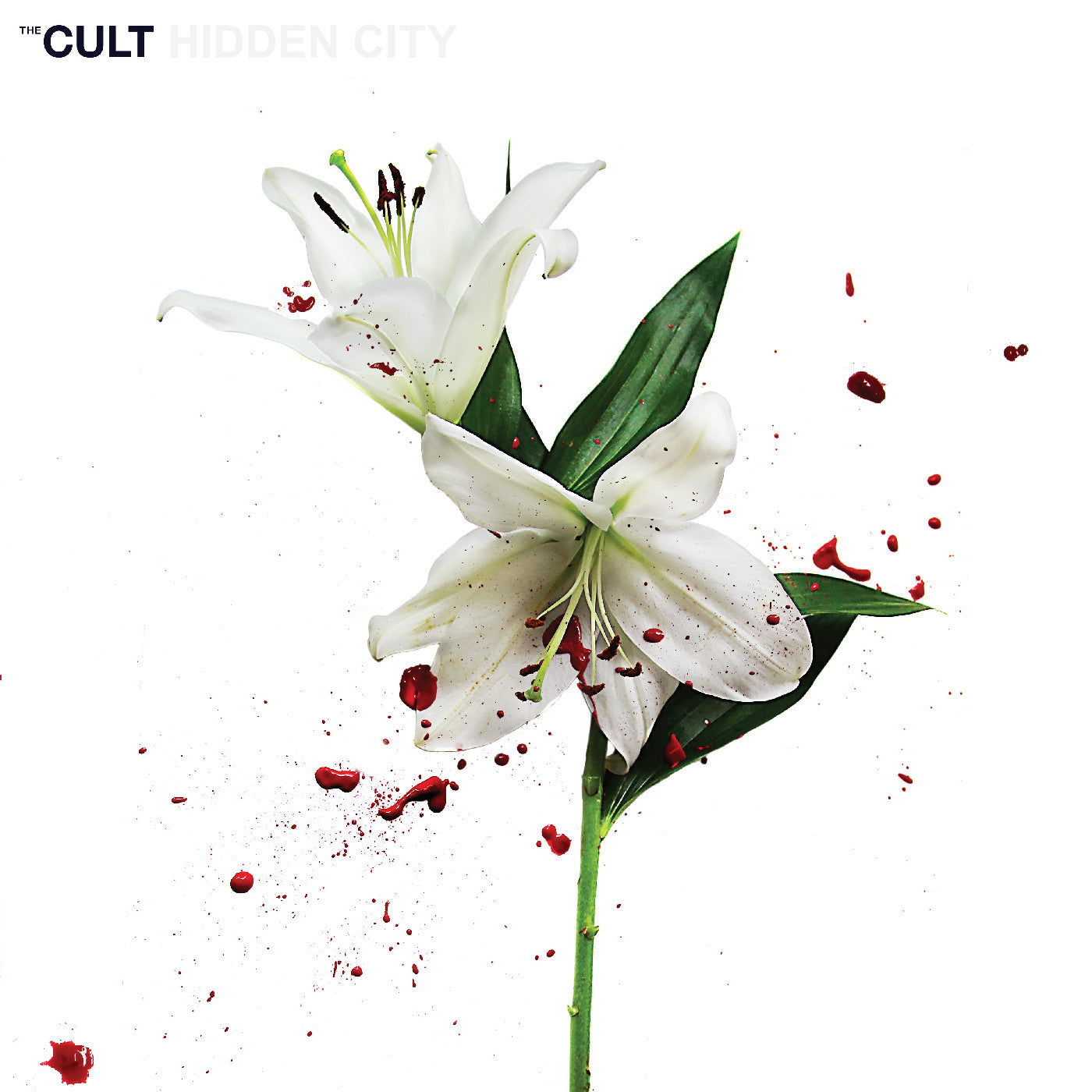 Hidden City (White/Red Vinyl) Vinyl Record