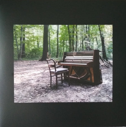 Acoustic II Vinyl Record