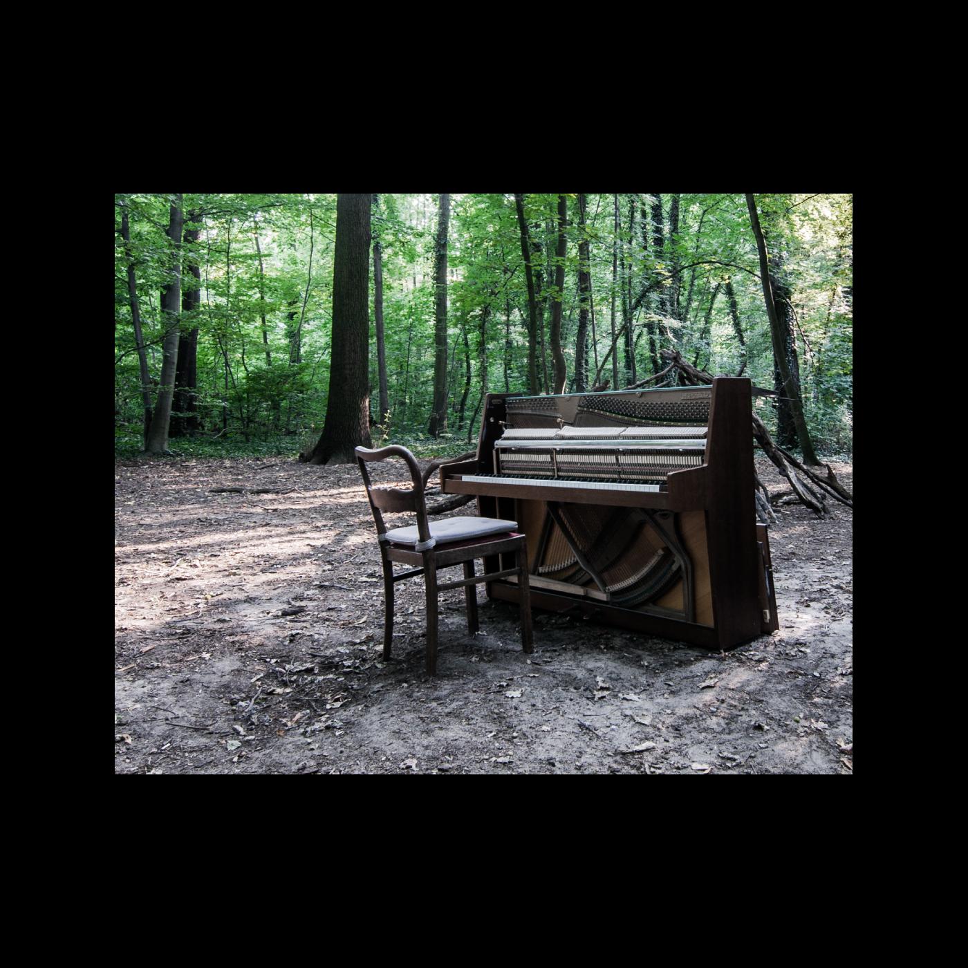 Acoustic II Vinyl Record