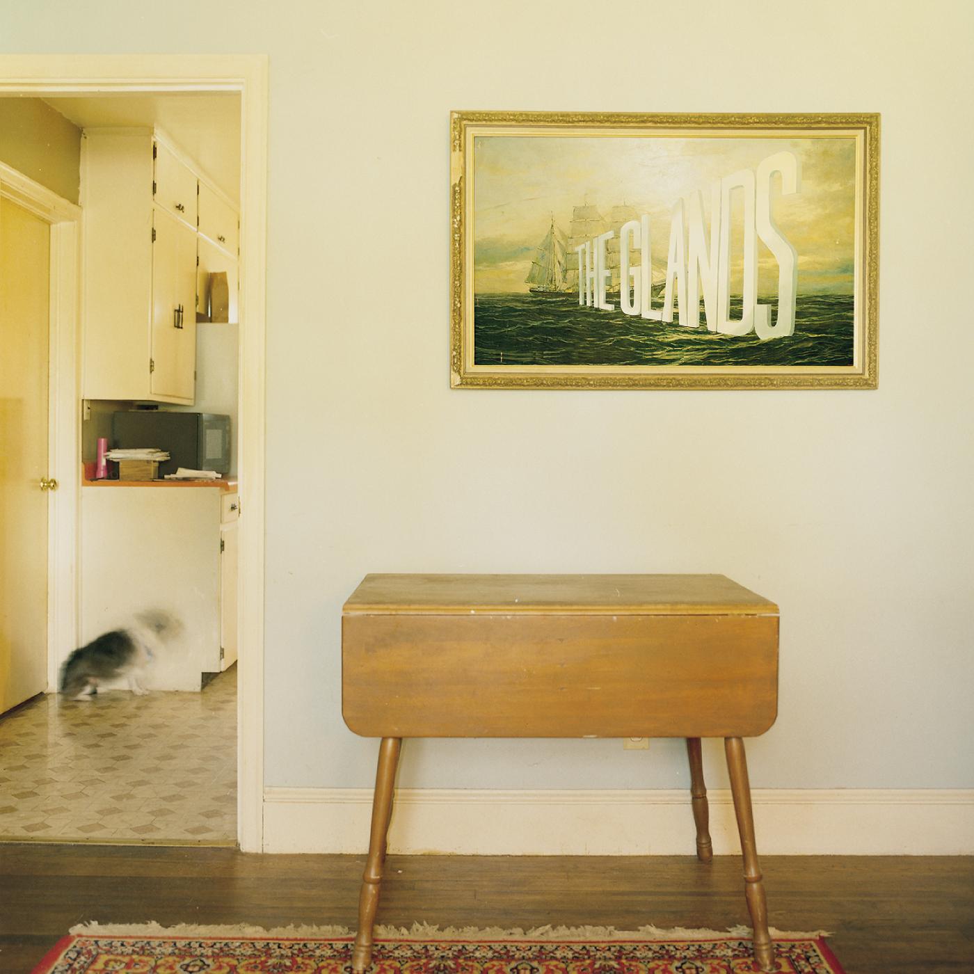 The Glands - The Glands Vinyl Record